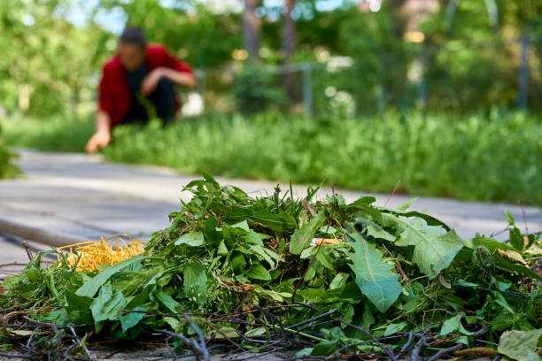 How to Prepare for a Residential Junk Removal Service
